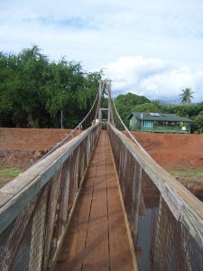 100_9550