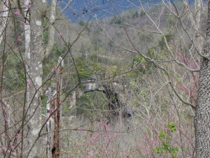 IMG_0012