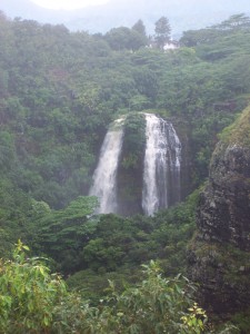 A waterfall that appears as two, surrounded by greenery with mountains in the background.