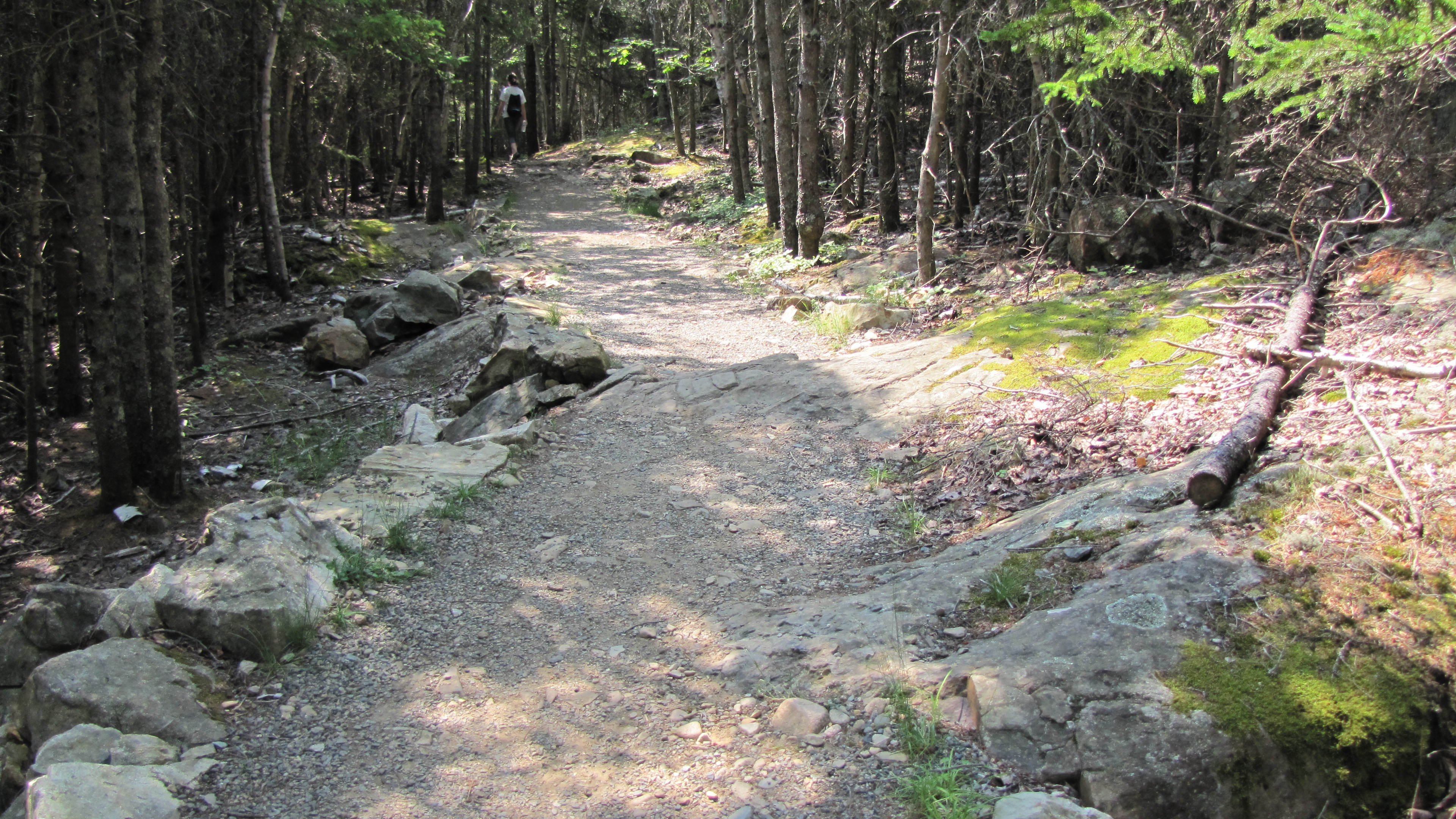 trail @ Acadia National Park, Maine