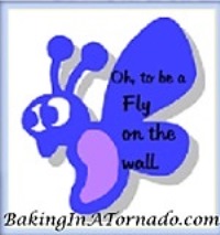 fly-on-the-wall-baking-in-a-tornado