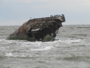 remnants of a concrete ship 
