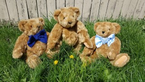 teddy-1335169_1920