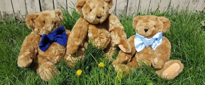 The Teddy Bears Picnic to the Rescue