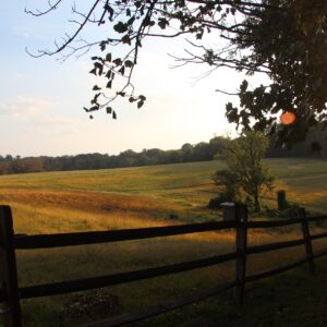 a field behind a split rail fence turned red and gold by the sun, a tree frames the upper right corner
