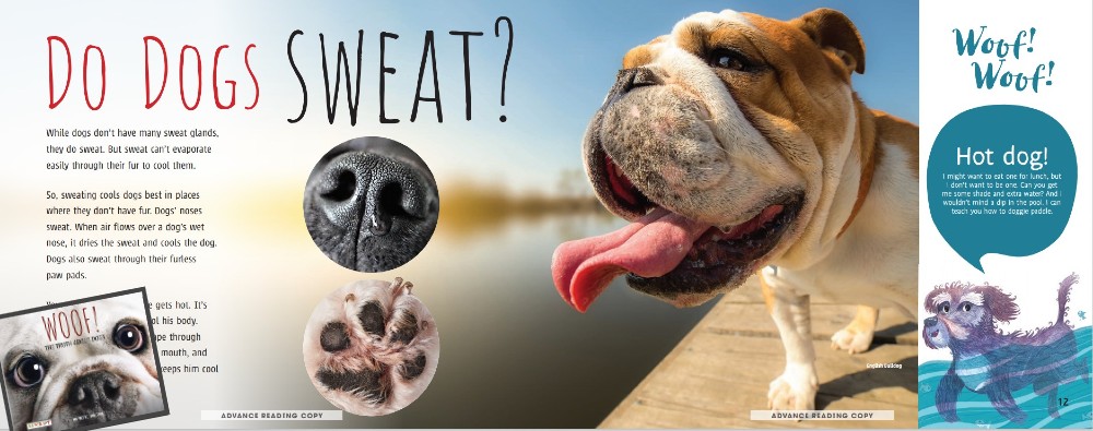 Page spread from book, "Do dogs sweat?" with photo of dog panting and smaller photos of a dog's nose and paw